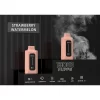 dual coil dual charge disposable vape 13000 puff flavor