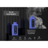 dual coil dual charge disposable vape 13000 puff with digital screen
