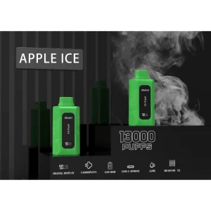 dual coil dual charge disposable vape with screen 13000 puffs